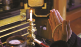 自宅安置一日葬プラン